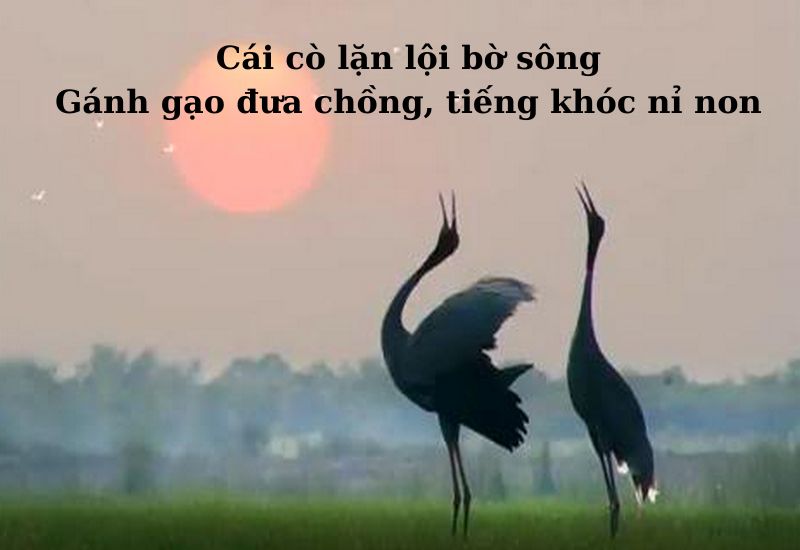 ca dao than thân yêu thương tình nghĩa