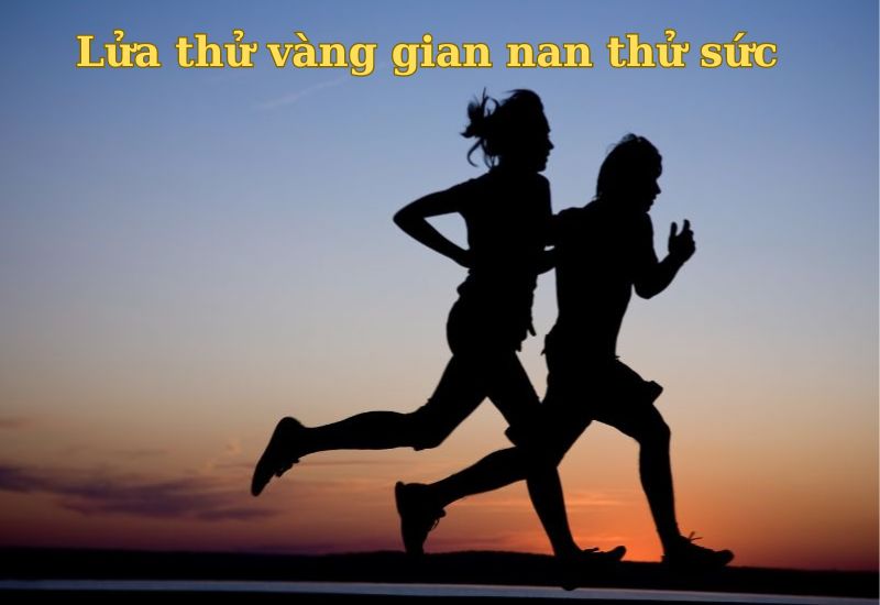 câu thành ngữ về sự cố gắng 