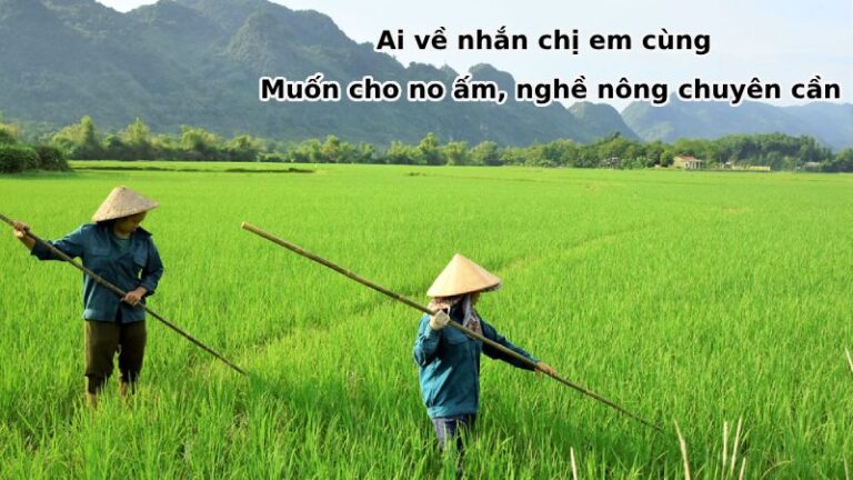 tục ngữ về lao động sản xuất