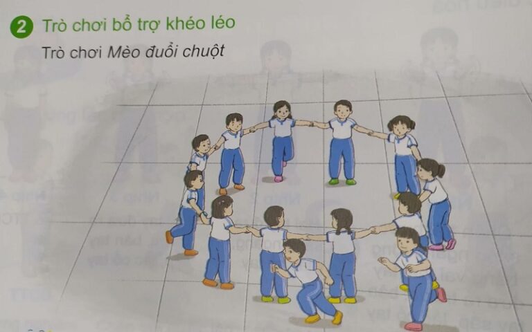 Mèo đuổi chuột