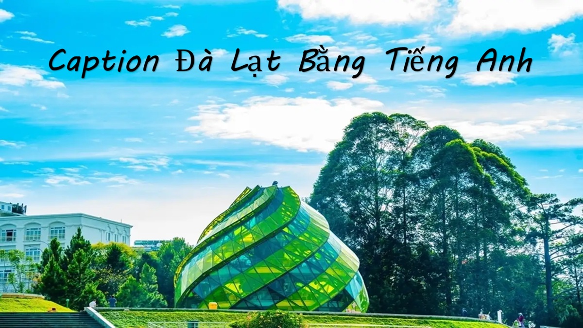 50+ Caption Đà Lạt tiếng Anh hay và ý nghĩa nhất