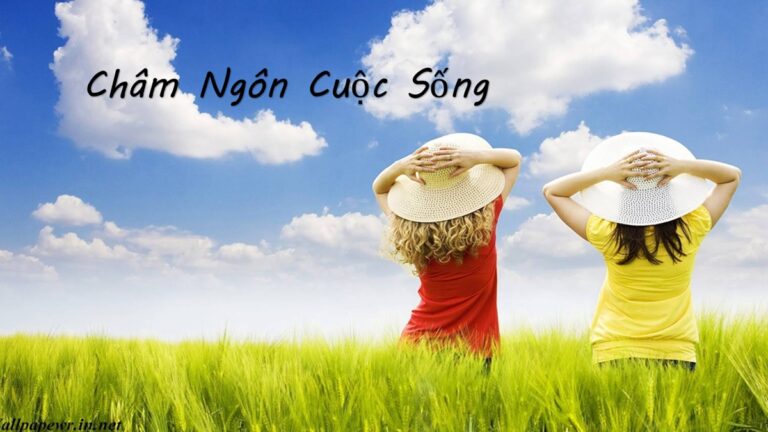 Châm ngôn sống là gì? Top châm ngôn sống tích cực hay nhất