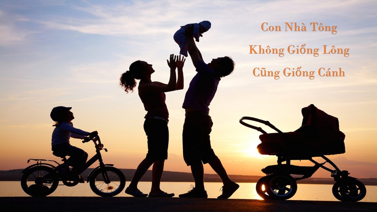 Câu nói con nhà tông không giống lông cũng giống cánh thể hiện tính chất gì của sự phát triển?