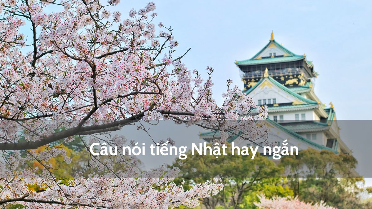 Những câu nói tiếng Nhật hay ngắn được sử dụng nhiều nhất