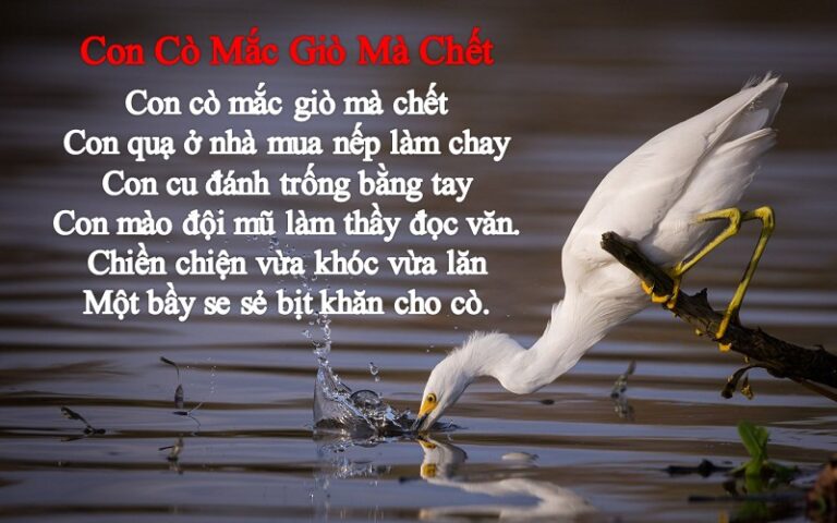 Con cò mắc giò mà chết