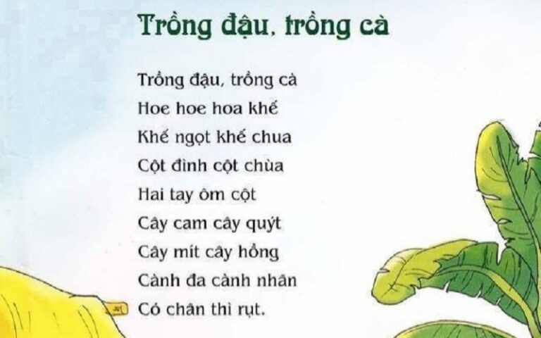 Trồng đậu trồng cà