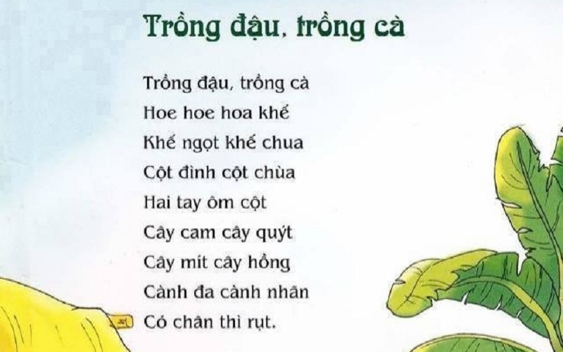 Trồng đậu trồng cà