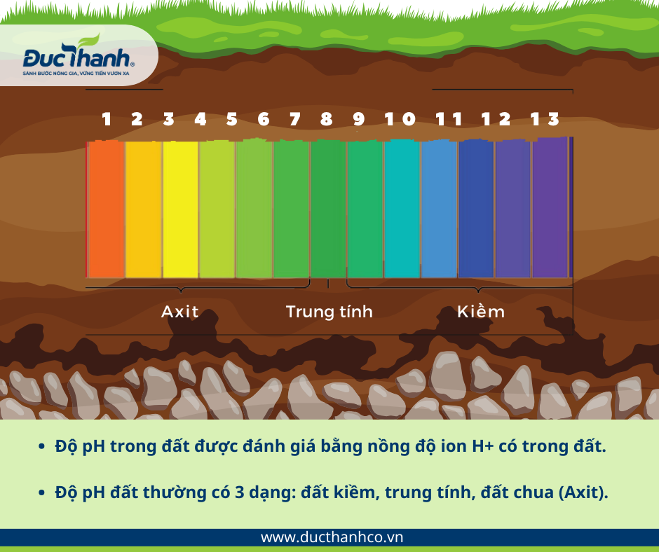 Câu hỏi thường gặp về độ pH đất và chăm sóc cây trồng