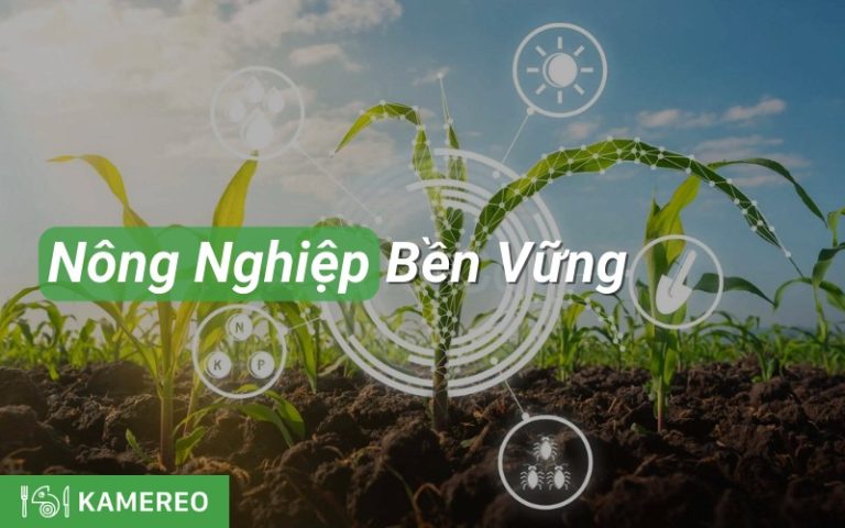 Tìm hiểu thêm về nông nghiệp bền vững: Tài nguyên và khóa học