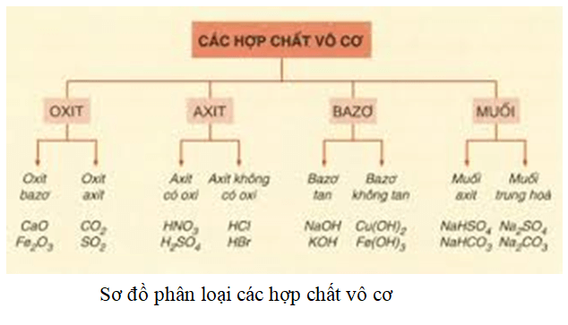 Phân loại cơ bản của chất hữu cơ và vô cơ: ví dụ minh họa