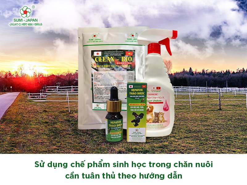 Những lưu ý khi sử dụng và bảo quản chế phẩm