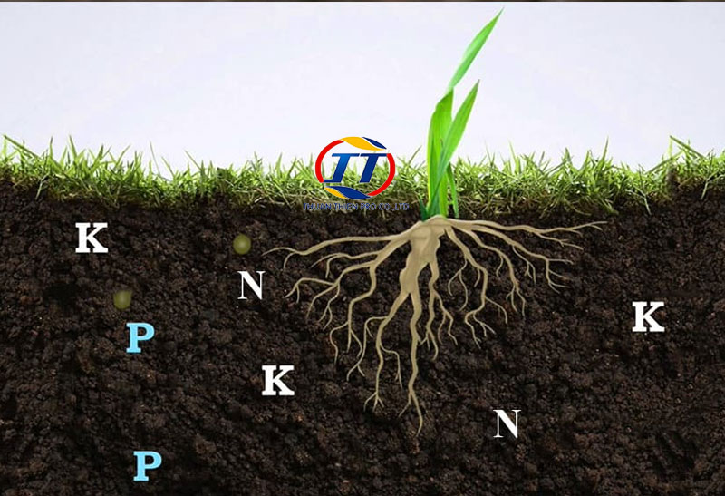 Nguồn cung cấp chất khoáng cho đất: Đá mẹ, phân bón, chất hữu cơ