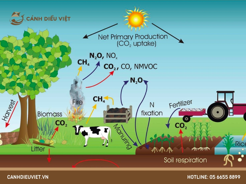 So sánh nông nghiệp sinh thái với nông nghiệp truyền thống