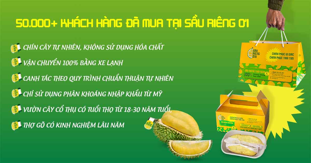 Giá cả và nơi mua sầu riêng sữa chất lượng