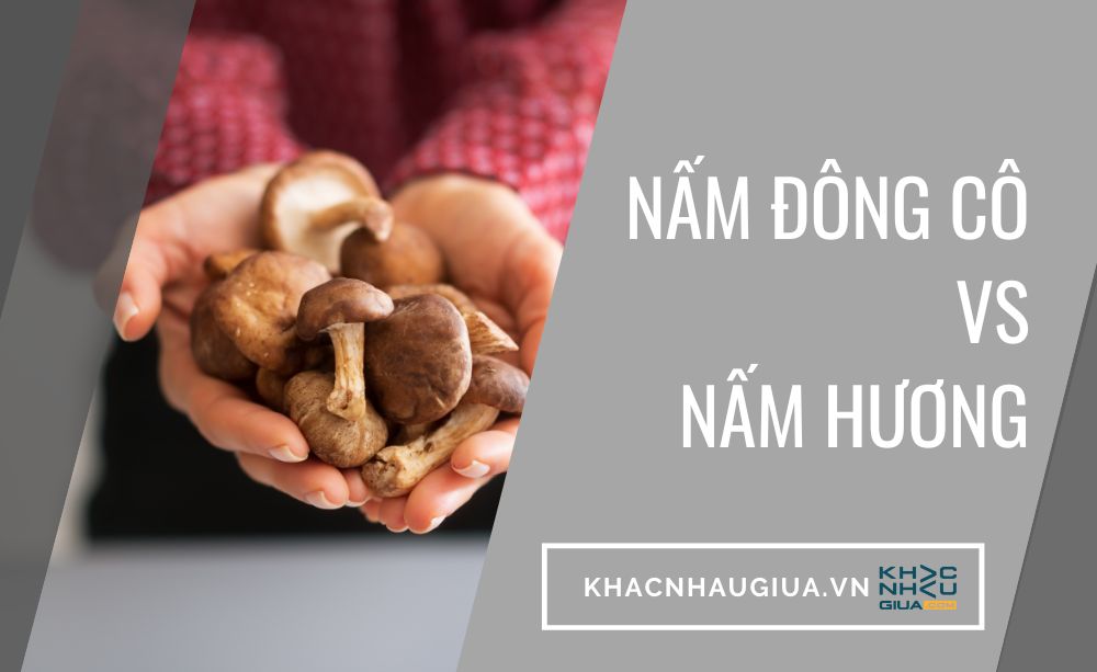 So sánh nấm hương với các loại nấm khác: Ưu điểm và điểm khác biệt