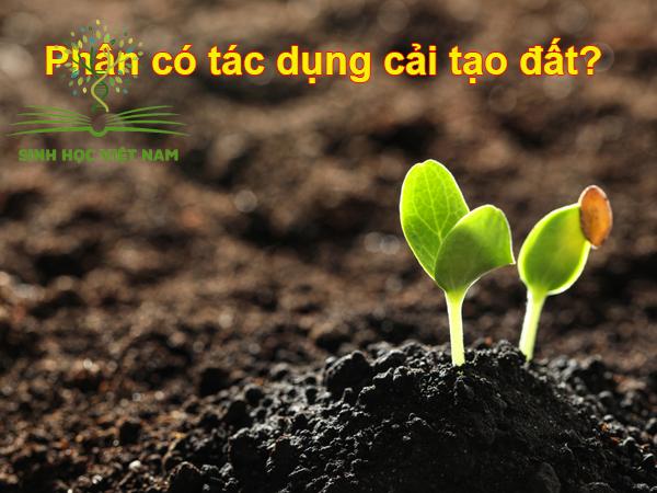 Các loại phân bón và biện pháp cải tạo đất phù hợp với từng loại đất