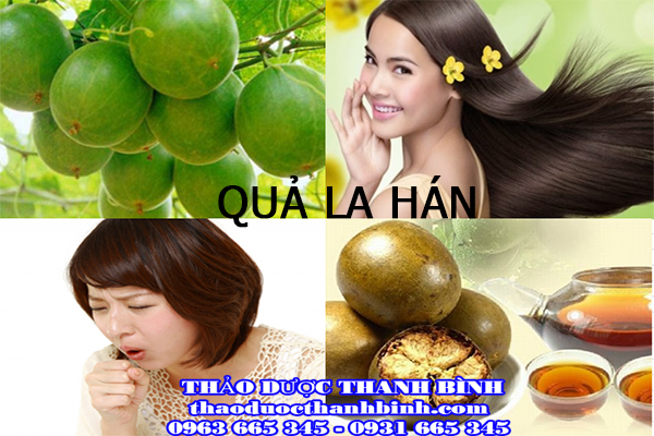 Mua Lá Han Ở Đâu: Nguồn Cung Cấp Uy Tín Và Chất Lượng