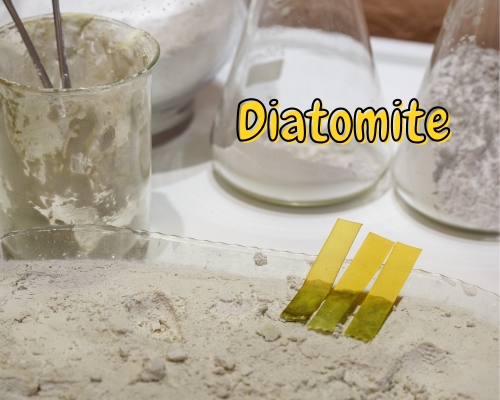 Các ứng dụng cụ thể của Diatomite trong đời sống và sản xuất (ví dụ: lọc nước, thực phẩm, mỹ phẩm...)