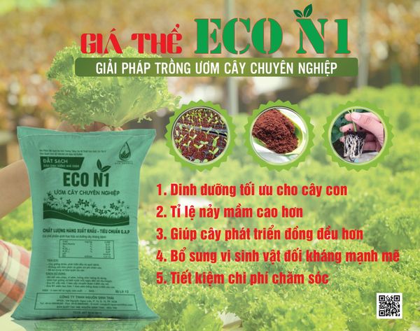 Giá thể thoát nước tốt cho rau mầm: Lựa chọn và kỹ thuật thoát nước