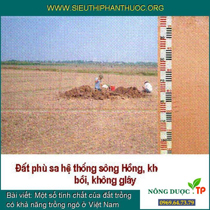 So sánh đất phủ hồng với các loại đất khác (đất đỏ bazan, đất phù sa, đất feralit)