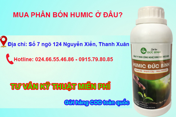 Mua Axit Humic ở đâu và giá cả như thế nào?