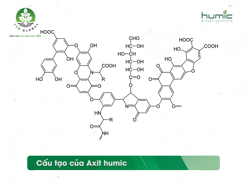 Những câu hỏi thường gặp về Axit Humic