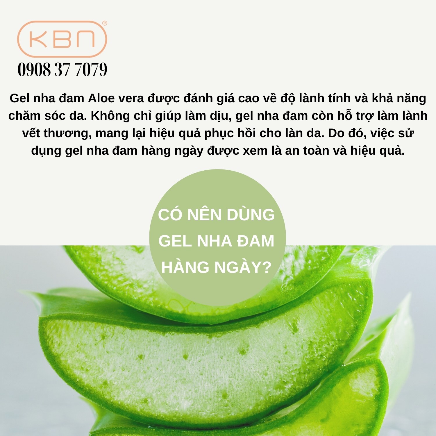 Cách sử dụng gel nha đam hiệu quả và an toàn