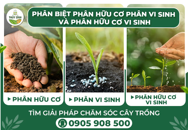 An toàn môi trường và sức khỏe khi sử dụng hữu cơ vi sinh