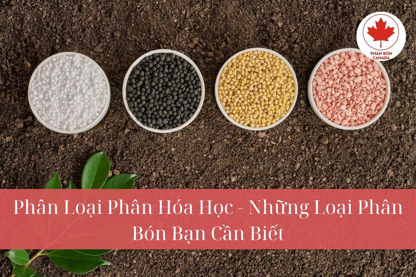 So sánh phân bón kali với các loại phân bón khác