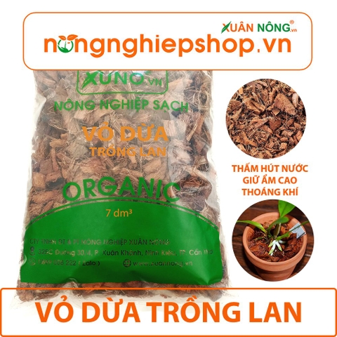 Vật Tư Trồng Lan Cần Chuẩn Bị (Chậu, Giá Thể,...)