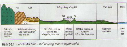 So sánh đất phù sa với các loại đất khác