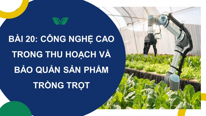 Thu hoạch và bảo quản sản phẩm từ cây trồng