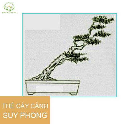 caycanhbonsaithesuyphong