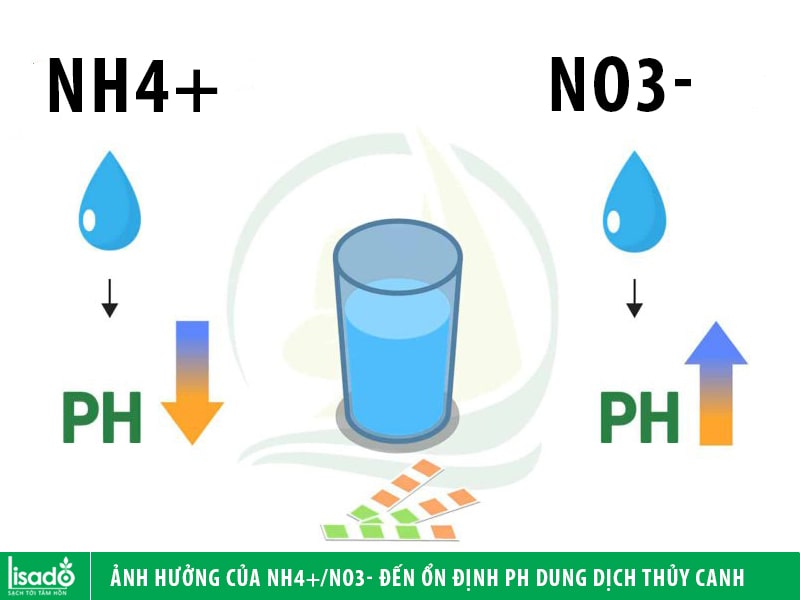 Tác động của amoni sunfat đến độ pH đất và sức khỏe cây trồng