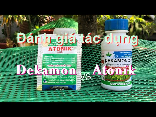 Review Atonik: Đánh giá từ người dùng và chuyên gia