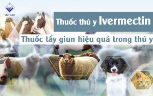 Ứng dụng của Avermectin trong nông nghiệp và thú y