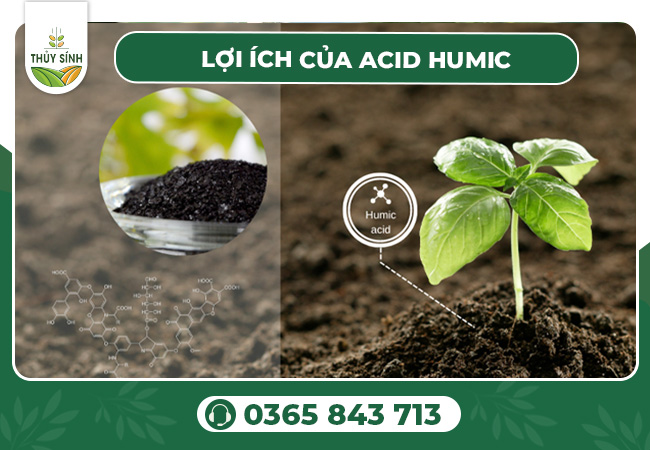 Ứng dụng của Axit Humic trong nông nghiệp