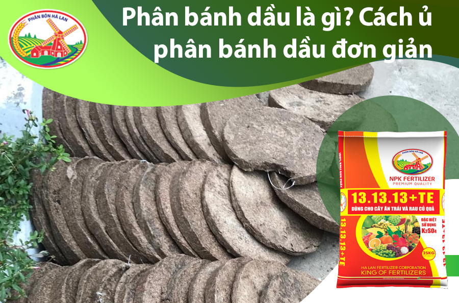 Nguyên Liệu Làm Bánh Dầu Và Công Thức Chi Tiết