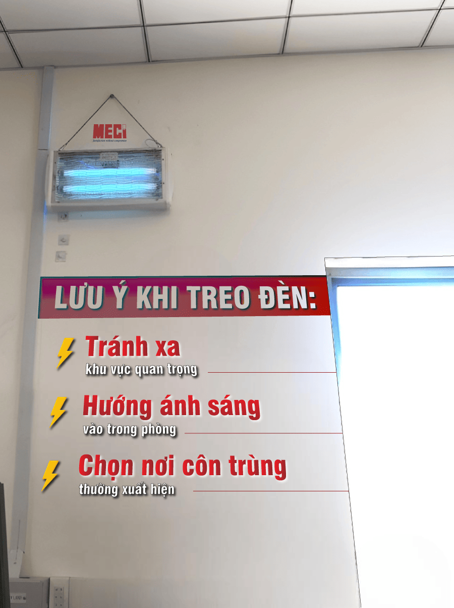 Những lưu ý khi sử dụng bẫy đèn để đảm bảo an toàn