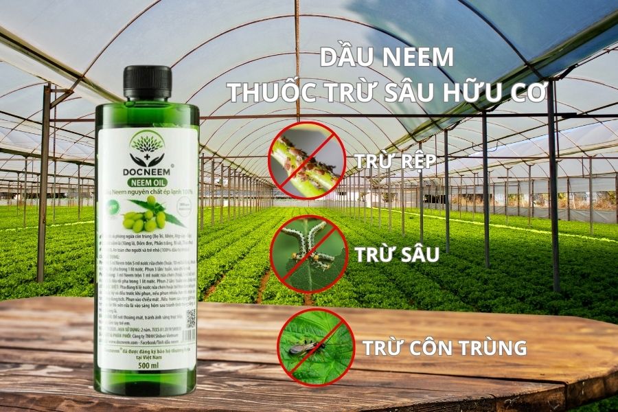 Tác dụng của bột lá Neem trong nông nghiệp hữu cơ (Thuốc trừ sâu Neem)