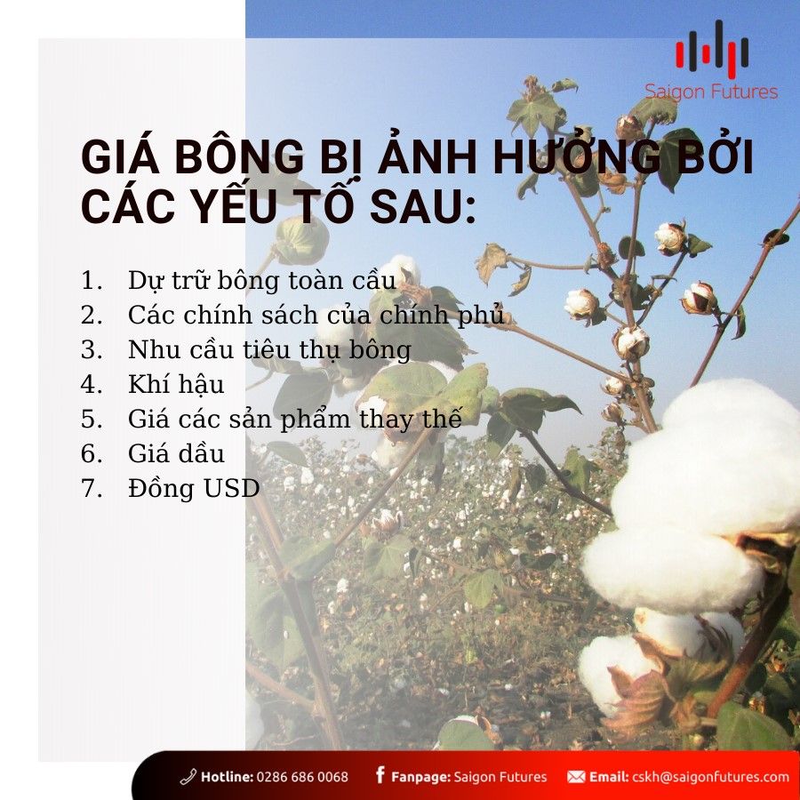 Giá bún và các yếu tố ảnh hưởng đến giá