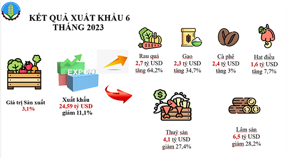 Tìm hiểu thị trường nông sản và xu hướng tiêu dùng