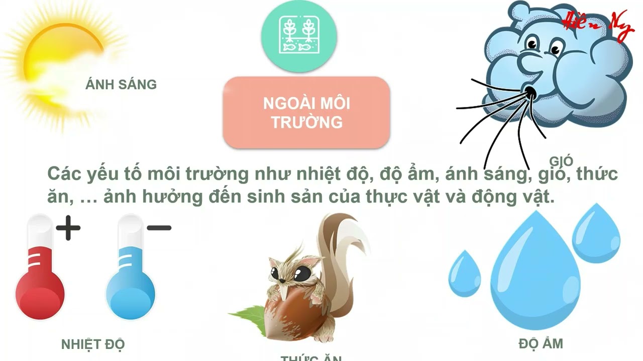 Yếu tố ảnh hưởng đến khả năng sinh sản của con lai