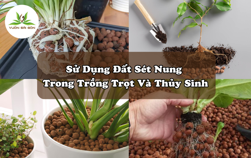 Ứng dụng của đất sét trong nông nghiệp và xây dựng