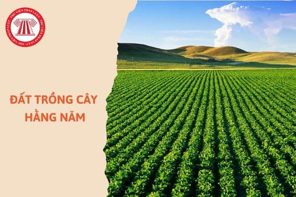 Cây hàng năm phổ biến và đất phù hợp