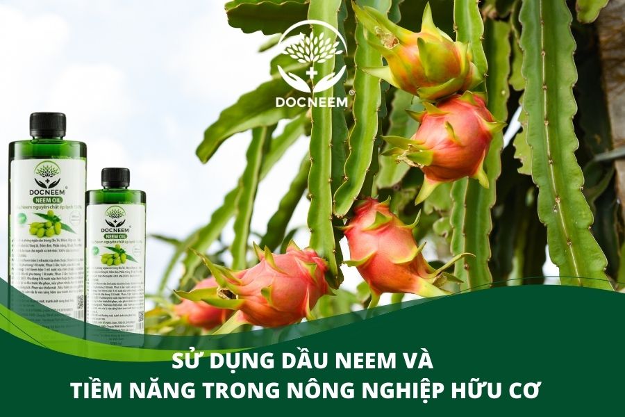 Dầu Neem trong nông nghiệp hữu cơ: thuốc trừ sâu sinh học hiệu quả