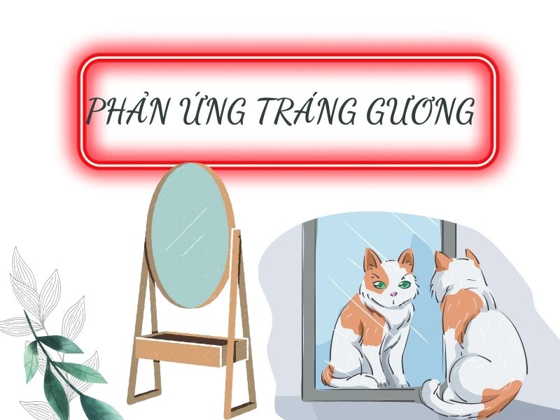 Phản ứng đặc trưng của đường khử: Phản ứng tráng gương