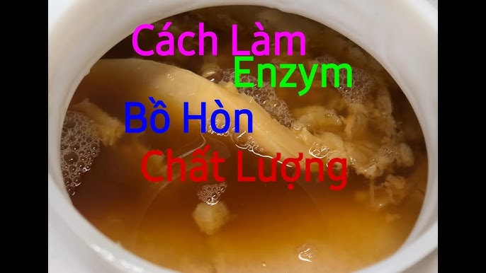 Ứng Dụng Enzyme Bồ Hòn Trong Mỹ Phẩm Và Chăm Sóc Tóc