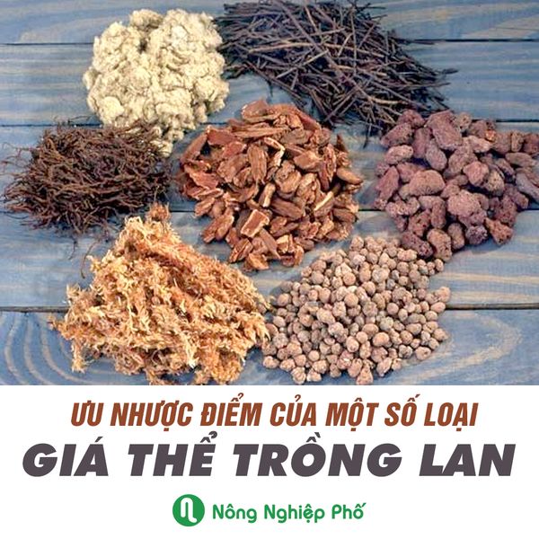 Ưu điểm và nhược điểm của các loại giá thể trồng rau mầm