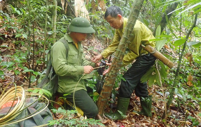 Tầm quan trọng của giống gốc trong bảo tồn đa dạng sinh học và phát triển nông nghiệp